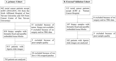 Deep Learning Model for Predicting the Pathological Complete Response to Neoadjuvant Chemoradiotherapy of Locally Advanced Rectal Cancer